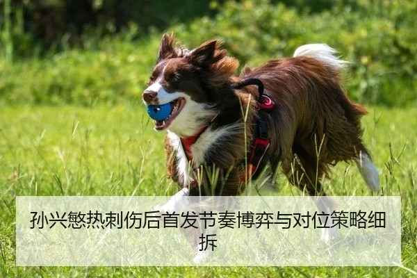 孙兴慜热刺伤后首发节奏博弈与对位策略细拆